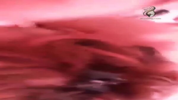 سكس تونسي مص ونيك على السرير xnnxx