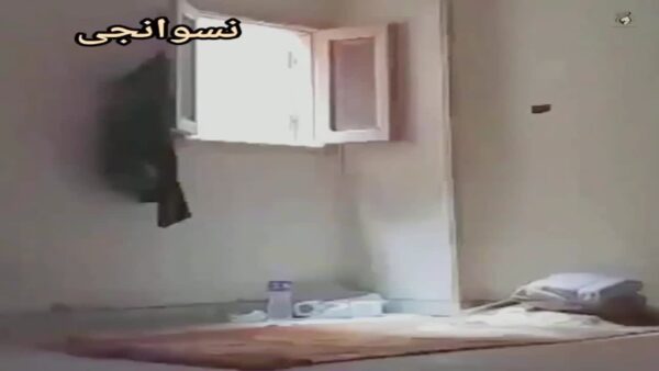 سكس مصري – عنتيل السطح والشرموطة الجزء الثالث فيديو كامل